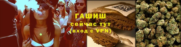 гашик Медногорск