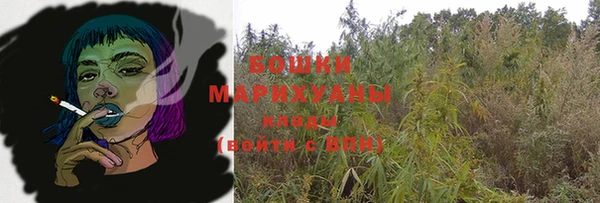 гашик Медногорск
