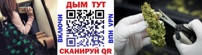 Марихуана сатива Мантурово